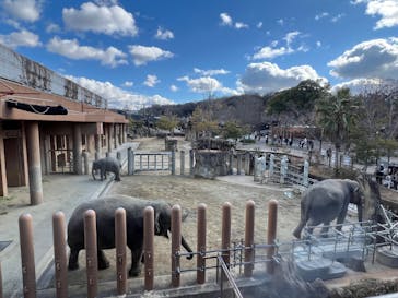 名古屋市東山動植物園に投稿された画像（2025/2/9）