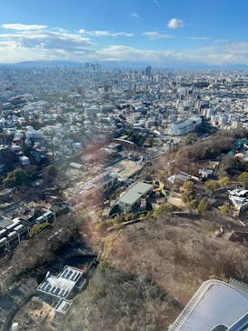 名古屋市東山動植物園に投稿された画像（2025/2/9）