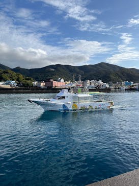 ダンデライオン奄美に投稿された画像（2025/2/9）