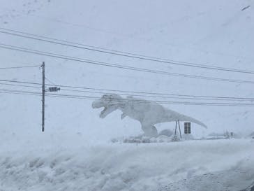 福井県立恐竜博物館に投稿された画像（2025/2/9）