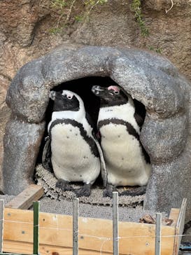 サンシャイン水族館に投稿された画像（2025/2/9）