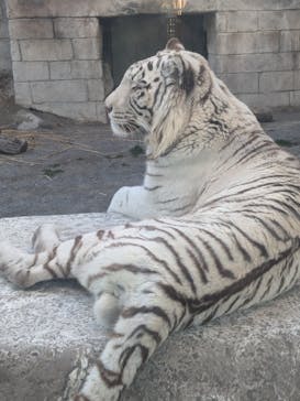 東武動物公園に投稿された画像（2025/2/9）