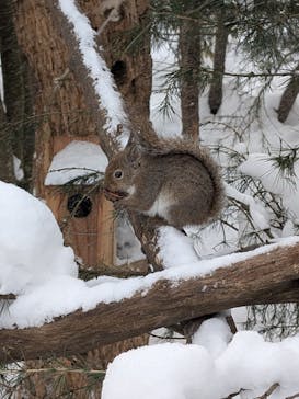 那須どうぶつ王国に投稿された画像（2025/2/9）