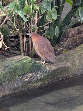 那須どうぶつ王国に投稿された画像（2025/2/9）