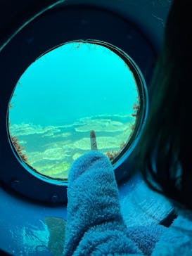 串本海中公園水族館に投稿された画像（2025/2/9）