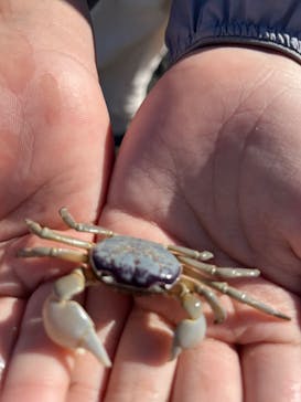 串本海中公園水族館に投稿された画像（2025/2/9）