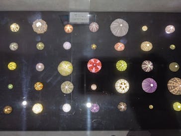 あわしまマリンパークに投稿された画像（2025/2/9）