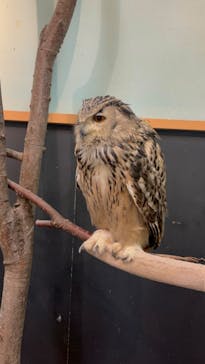 Moff animal cafe iias つくば店に投稿された画像（2025/2/9）