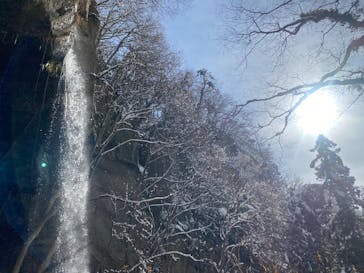 ジャパンだるまツアーに投稿された画像（2025/2/9）