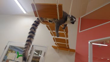 アニタッチ MARK IS 静岡に投稿された画像（2025/2/9）