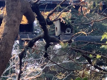 井の頭自然文化園に投稿された画像（2025/2/9）