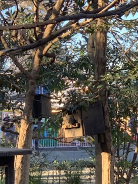 井の頭自然文化園に投稿された画像（2025/2/9）