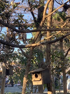 井の頭自然文化園に投稿された画像（2025/2/9）