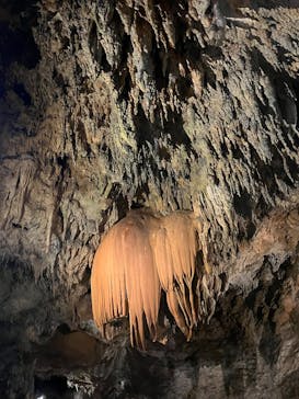 CAVE OKINAWAに投稿された画像（2025/2/9）