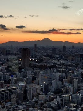 東京タワーに投稿された画像（2025/2/9）