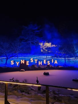 KYOTO ILLUMINATION SYNESTHESIA HILLS るり渓温泉に投稿された画像（2025/2/9）