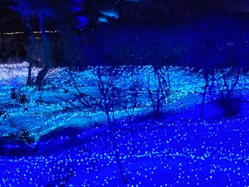 KYOTO ILLUMINATION SYNESTHESIA HILLS るり渓温泉に投稿された画像（2025/2/9）