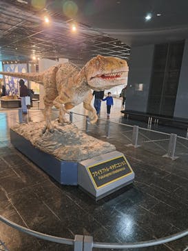 福井県立恐竜博物館に投稿された画像（2025/2/9）