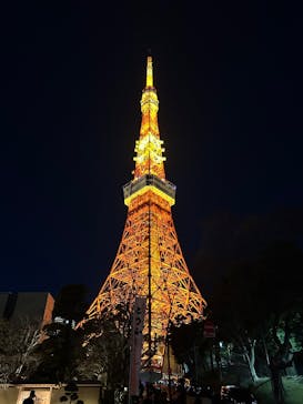 東京タワーに投稿された画像（2025/2/9）