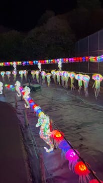 伊豆高原グランイルミに投稿された画像（2025/2/9）