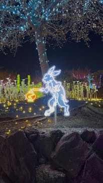 伊豆高原グランイルミに投稿された画像（2025/2/9）