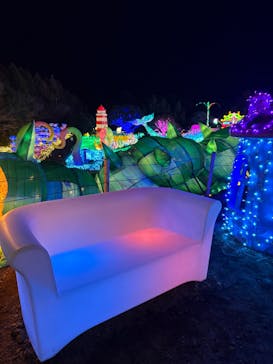 伊豆高原グランイルミに投稿された画像（2025/2/9）