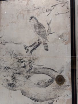 特別展「旧嵯峨御所 大覚寺 －百花繚乱 御所ゆかりの絵画－」（東京国立博物館）に投稿された画像（2025/2/9）