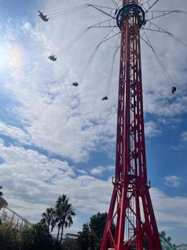 グリーンランドに投稿された画像（2025/2/9）