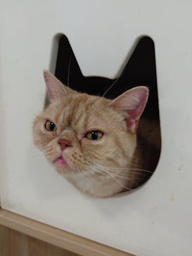 Moff animal world BIGHOPガーデンモール印西店に投稿された画像（2025/2/9）