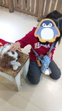 Moff animal world BIGHOPガーデンモール印西店に投稿された画像（2025/2/9）