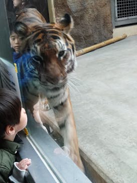 日立市かみね動物園に投稿された画像（2025/2/9）