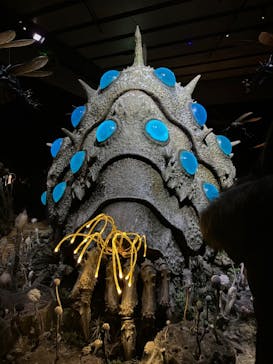 金曜ロードショーとジブリ展　三重展に投稿された画像（2025/2/9）