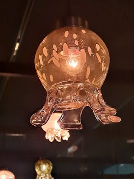 京都水族館に投稿された画像（2025/2/9）