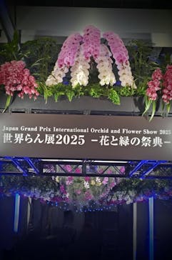 世界らん展2026-花と緑の祭典-に投稿された画像（2025/2/9）