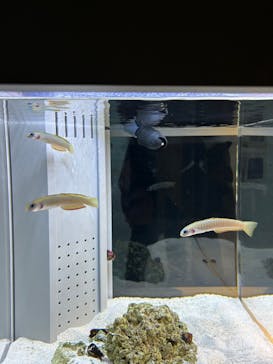 AOAO SAPPOROに投稿された画像（2025/2/9）