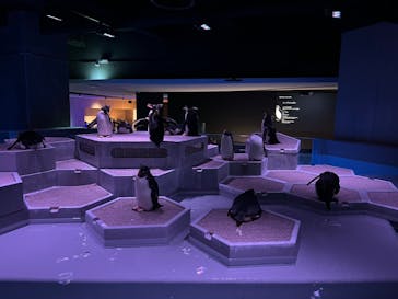 AOAO SAPPOROに投稿された画像（2025/2/9）