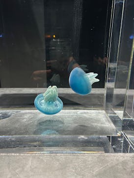 AOAO SAPPOROに投稿された画像（2025/2/9）