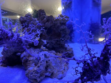 AOAO SAPPOROに投稿された画像（2025/2/9）