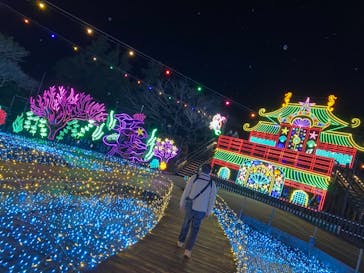 伊豆高原グランイルミに投稿された画像（2025/2/9）