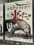 名古屋市東山動植物園に投稿された画像（2025/2/10）