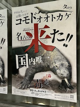 名古屋市東山動植物園に投稿された画像（2025/2/10）