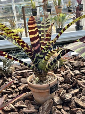 名古屋市東山動植物園に投稿された画像（2025/2/10）