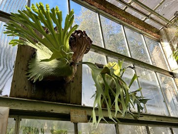 名古屋市東山動植物園に投稿された画像（2025/2/10）