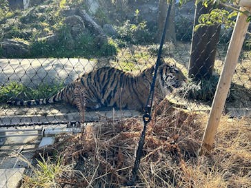名古屋市東山動植物園に投稿された画像（2025/2/10）