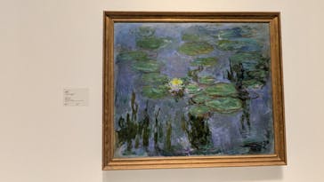 モネ 睡蓮のとき（国立西洋美術館）に投稿された画像（2025/2/10）