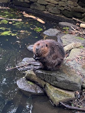 長崎バイオパークに投稿された画像（2025/2/10）