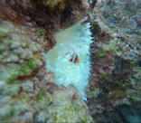 武藤潜水に投稿された画像（2025/2/10）