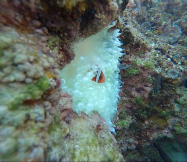 武藤潜水に投稿された画像（2025/2/10）