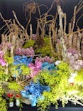 世界らん展2026-花と緑の祭典-に投稿された画像（2025/2/10）