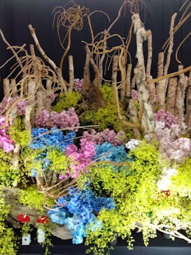 世界らん展2026-花と緑の祭典-に投稿された画像（2025/2/10）